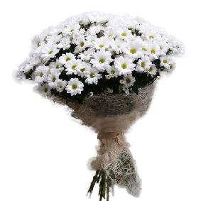 White Chrysanthemum Bouquet